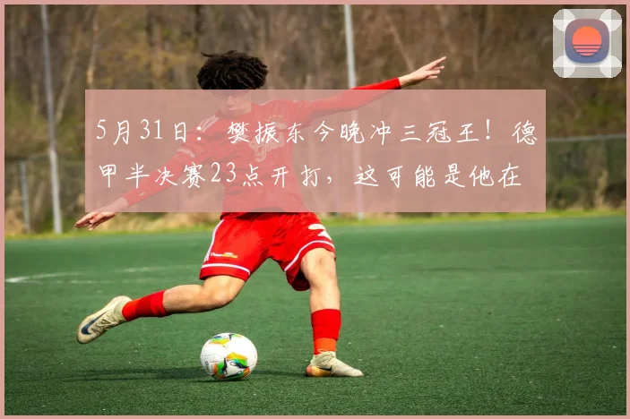 5月31日：樊振东今晚冲三冠王！德甲半决赛23点开打，这可能是他在萨尔布吕肯的最后一舞_德国_球迷_云达不莱梅