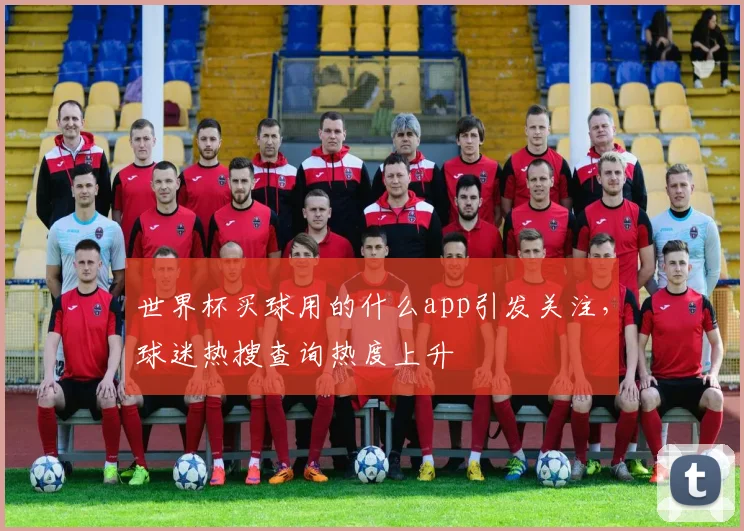 世界杯买球用的什么app引发关注,球迷热搜查询热度上升